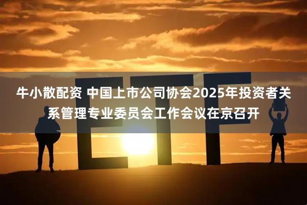 牛小散配资 中国上市公司协会2025年投资者关系管理专业委员会工作会议在京召开