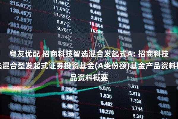 粤友优配 招商科技智选混合发起式A: 招商科技智选混合型发起式证券投资基金(A类份额)基金产品资料概要